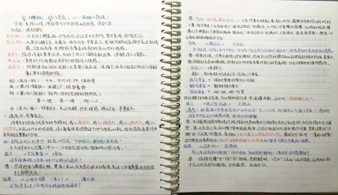 1584843882109542.jpg 11.jpg